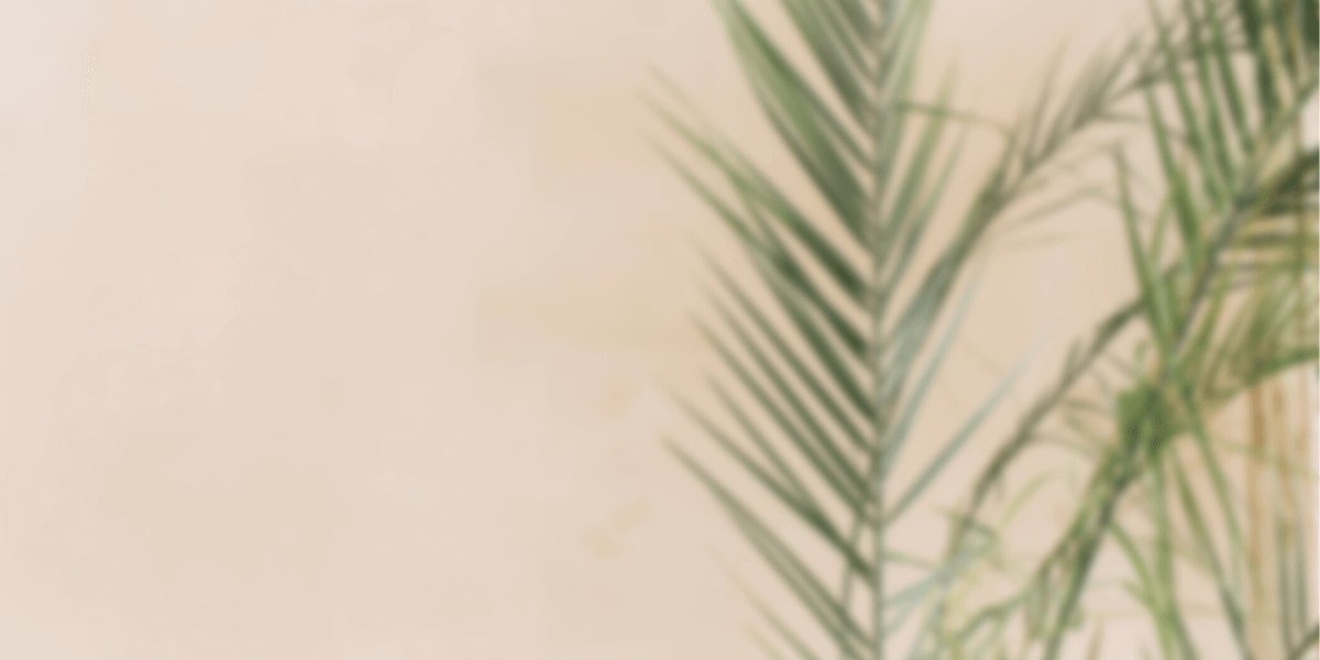 Privacy Policy Drip IV Lafayette and Baton Rouge, LA